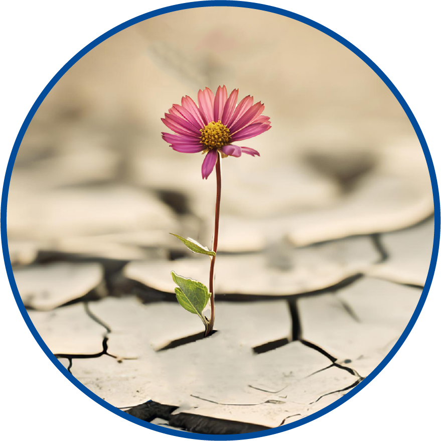 Understanding the changing landscape: How BRSR adapted to evolving needs