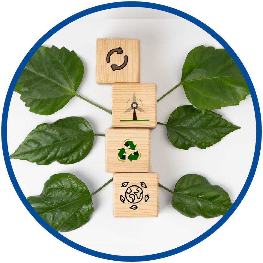 Navigating the EcoVadis Assessment: Steps to Sustainability